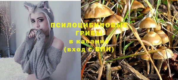 прущие крисы Киреевск