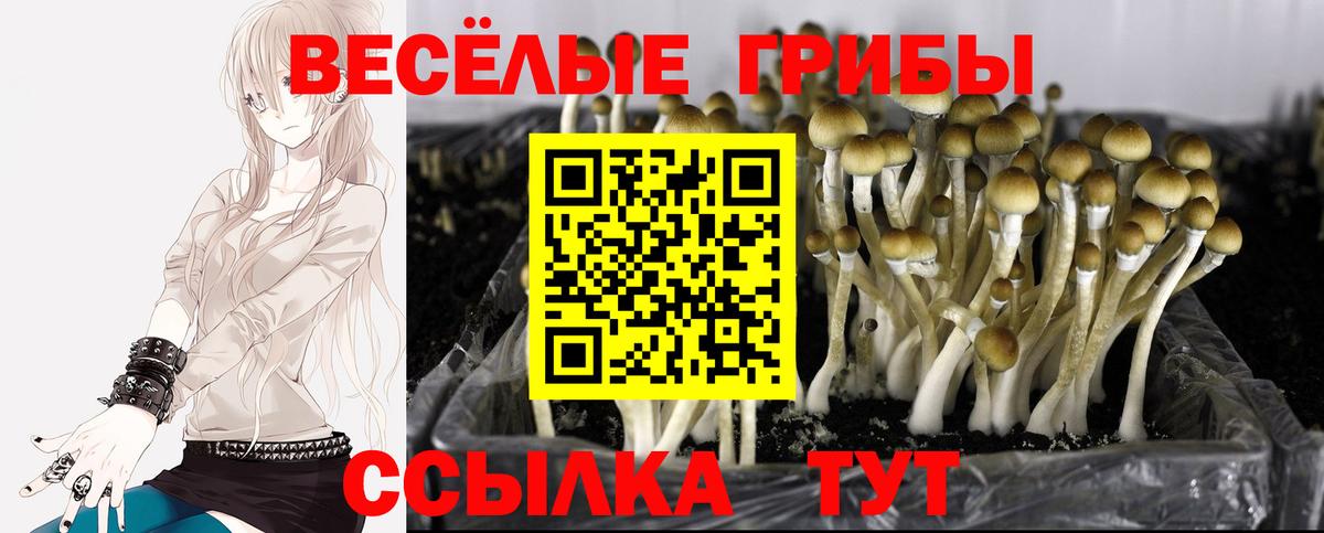 Солнечногорск  Галлюциногенные грибы мицелий  цена наркотик  Вход с VPN 