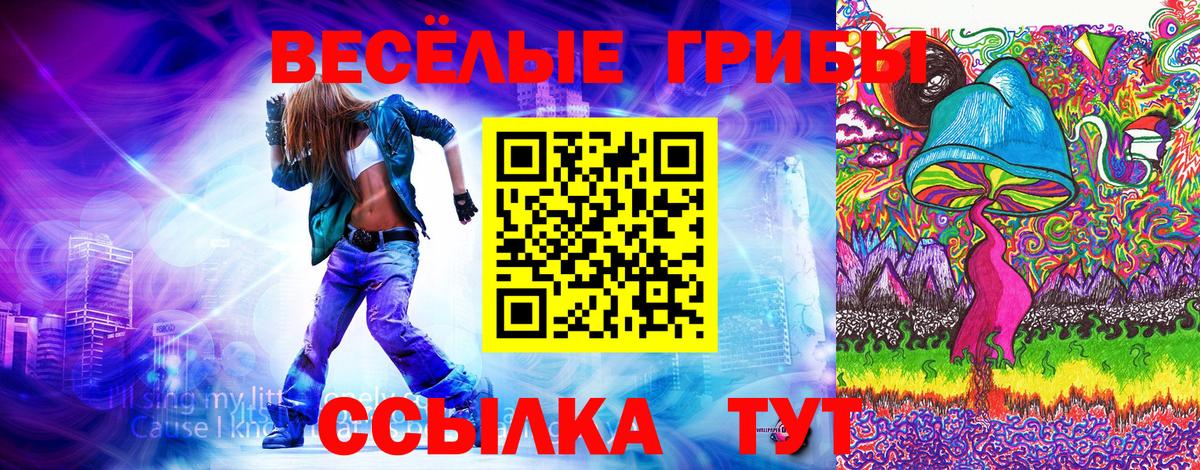 Псилоцибиновые грибы Psilocybine cubensis Солнечногорск