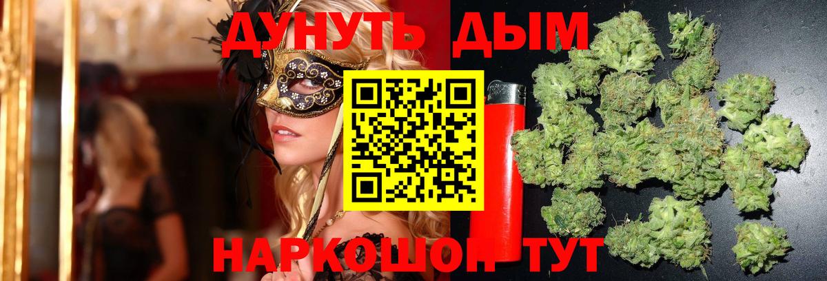 Бошки Шишки план Солнечногорск